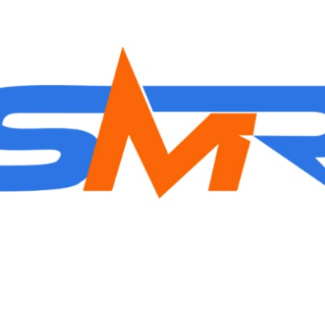 SMR Merchandise LLP Pillow