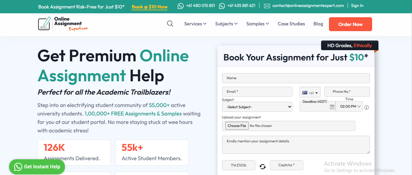 Online Assignment Expert